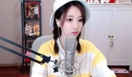 爆料王琳团队直播回放视频,精彩瞬间回顾